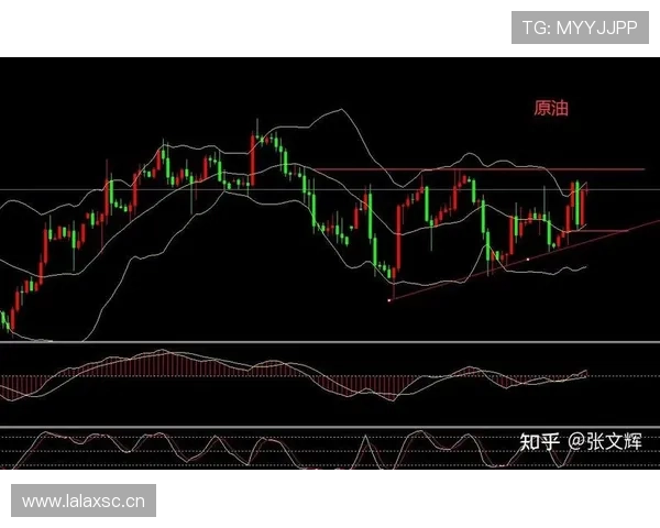 纽卡斯尔联争四形势面临考验，竞争格局持续调整影响赛季走势