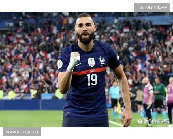 本泽马与德尚矛盾：战术理念冲突及国家队角色适配性分析