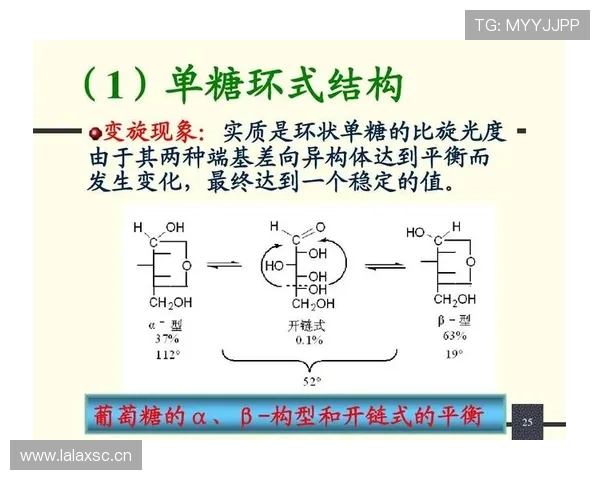 赖斯与贝林厄姆攻守平衡结构对比分析
